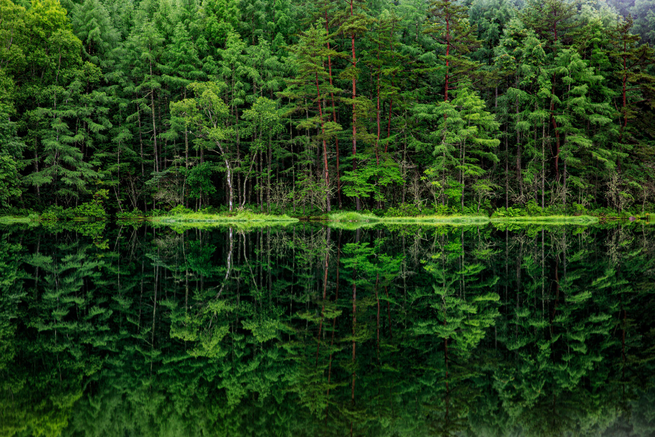 Header ESG Sustainability